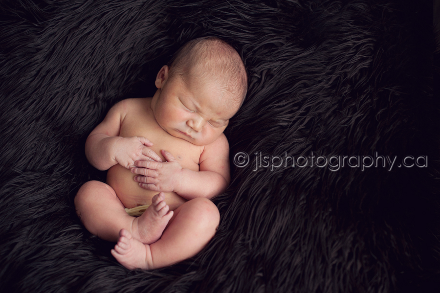Surrey Newborn Photographer, Richmond Newborn Photographer, Langley Newborn Photographer, JLS Photography, jlsphotography.ca, BC Newborn Photographer, Vancouver Newborn Photography, Burnaby Newborn Photographer, Lower Mainland Newborn Photography, Family Photography, Surrey Newborn Photography, Newborn posing, Baby Photography, Best Newborn Photos, Best Newborn Photography, Unique Newborn Photos, Newborn photos, Vancouver Baby Photography,Surrey Baby Photography, Surrey Newborn Photographer, Surrey Baby Photographer, Vancouver Baby Photographer, Adorable Newborn Photos, Lower Mainland Newborn Photographer, Coquitlam Newborn Photographer, Pitt Meadows Newborn Photographer, Maple Ridge Newborn Photographer, Port Moody Baby Photographer, Coquitlam Baby Photographer, Pitt Meadows Baby Photographer